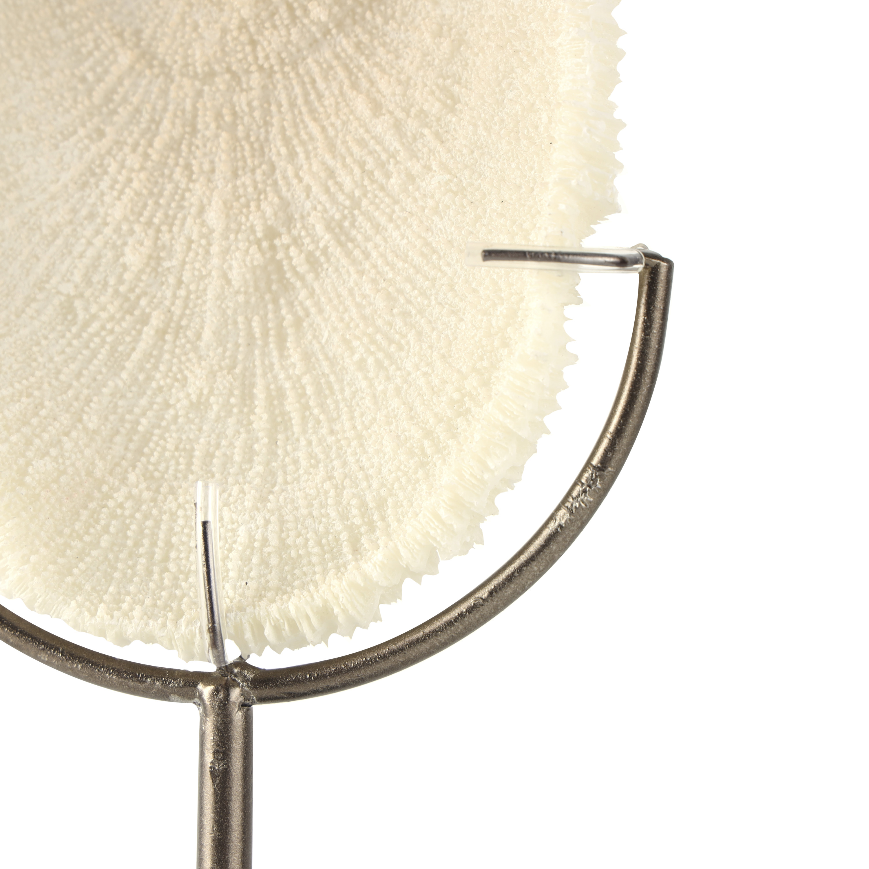 7" x 19" Cream Polystone Abstract Textured Coral Sculpture with Gray Stand and Acrylic Base, by DecMode