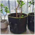 thumbnail image 4 of Juego de 5 bolsas para plantar YONGSHENG no tejidas de 7 galones con asa Negro, 4 of 4