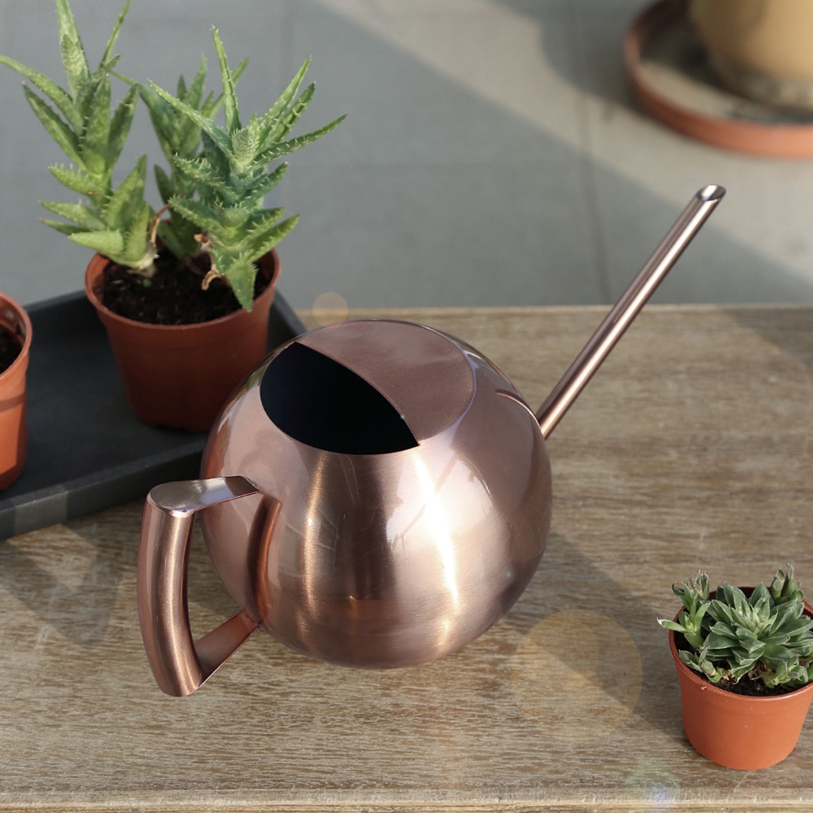 Jubipavy Stainless Steel Watering Can - 1L Metal Watering Can With Long Spout To Spillage Perfect Plant Watering Can For Outdoor And Indoor Plants Gift Home Saving