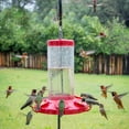 thumbnail image 4 of Perky-Pet The Grand Master 48 oz Hummingbird Feeder, 4 of 11