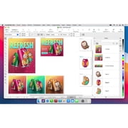 Corel CorelDRAW Graphics Suite 2021, Box Pack, 1 License