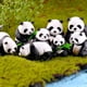 thumbnail image 5 of Bewildely decorativa de Panda de 4 Uds., adornos lindos, accesorio de Animal, miniaturas de simulación de paisaje, regalo de Micro Decoración del hogar Grande, 5 of 6