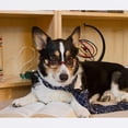 thumbnail image 2 of CafePress - Science Dog Mousepad - Non-slip Rubber Mousepad, Gaming Mouse Pad, 2 of 6