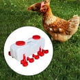thumbnail image 6 of FashionCha Poultry Waterer, Chicken Waterer, Chick Water Dispenser, for Birds, Quail, Farm, semi automatic S, 6 of 9