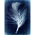 thumbnail image 2 of Malek, Honey 19x24 Black Ornate Wood Framed with Double Matting Museum Art Print Titled - Inverted Feather III, 2 of 4