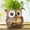 Brown, variant on Quoowiit Cute Owl Plant Pots Indoor,Resin Small Succulent Pots with Drainage Hole,Rocking Chair Planters for Outdoor Indoor Plants,Gift Ideas for Mother