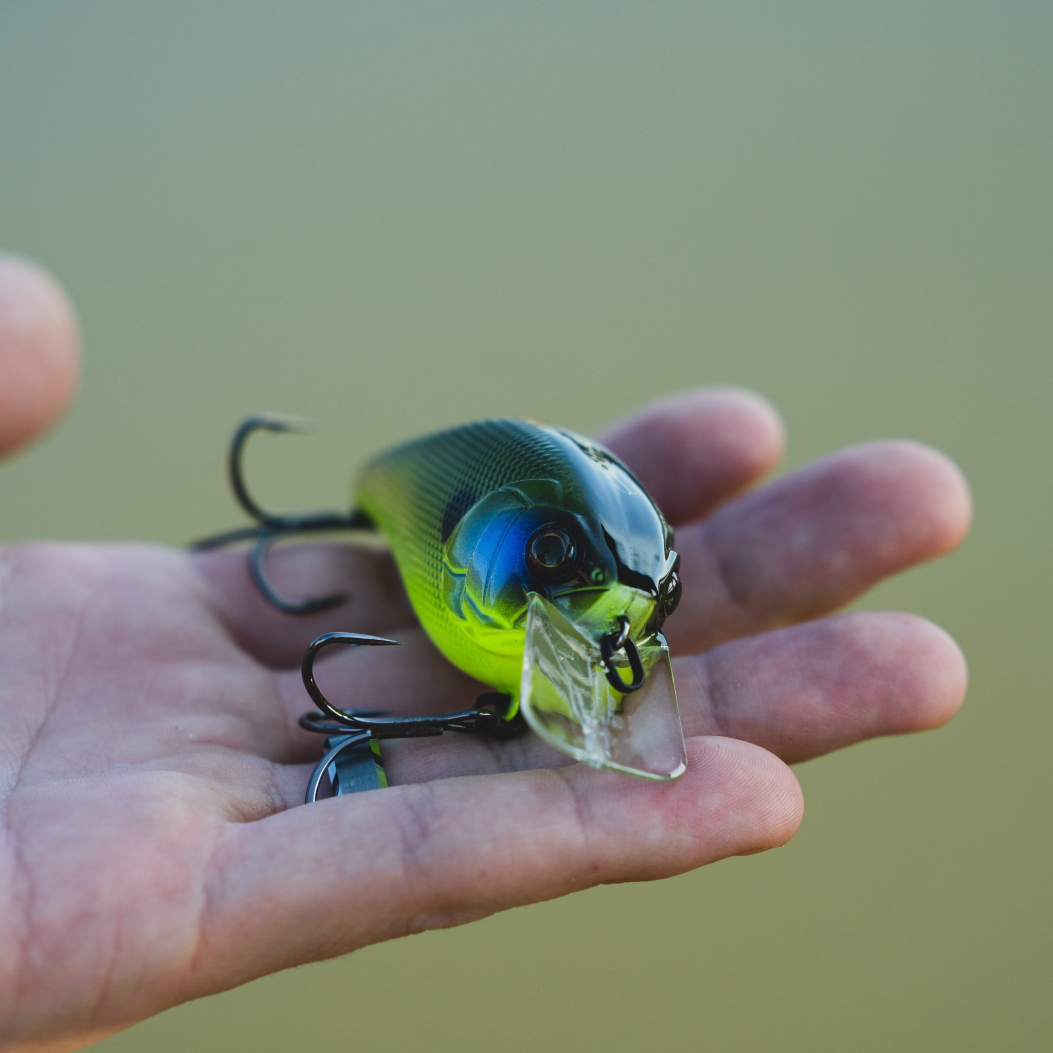 SQUEEK NUTTY BUG レコード BUFFALO SPRINGFIELD」「BYRDS」ほか、オリジナル盤多数。ロック