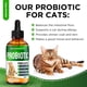thumbnail image 2 of Probióticos SaluTempet para gatos, apoyo digestivo, 60 ml, 2 of 8