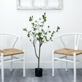 thumbnail image 6 of Nearly Natural 4ft. Minimalist Citrus Artificial Tree, Green, 6 of 7