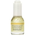thumbnail image 6 of Burt's Bees Truly Glowing Face Serum with Antioxidant-Rich Oils, Normal + Combo Skin, 1 fl oz, 6 of 25