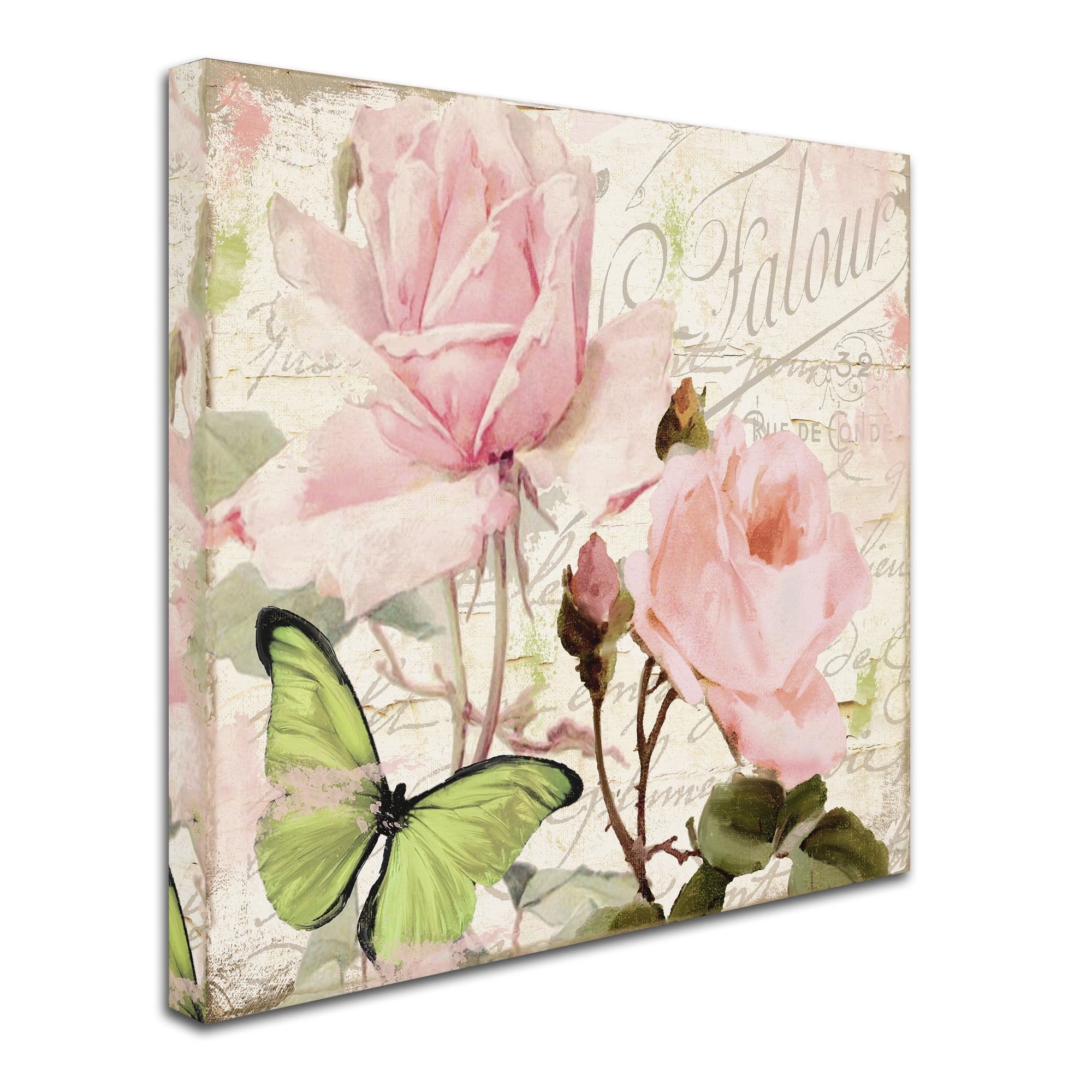 Trademark Fine Art "Florabella III" Canvas Art by Color Bakery