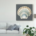 thumbnail image 3 of Trademark Fine Art 'Shell on Slate III' Canvas Art by Megan Meagher, 3 of 4