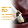 BEE and You Plus Propolis Nasal Spray 1 Fl oz Dry Nose, Sinus, Allergy Relief