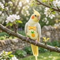 thumbnail image 6 of OCCOA Conure Flight Suit Bird Diaper with Poop Pocket for Budgie Cockatiel Peachface Parakeet Outdoor Clothes, Yellow, 6 of 6