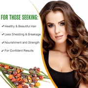 Mooyam 3 Pack Batana Oil-Natural Conditioner-Moisturizes Hair & Scalp-100% Pure & Natural Organic Essential Oil for Hair,Skin- 6.06 fl.oz
