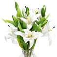 thumbnail image 1 of Uxcell Lirios Falsos, 6PCS Flores Artificiales de Lirio Flores Blancas Falsas en Jarrón para Decoración del Hogar, Blanco, Blanco 6, 1 of 5