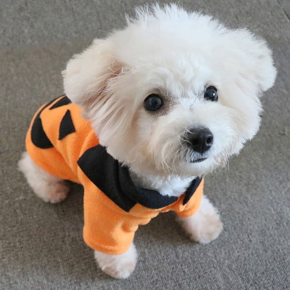 Halloween Small Dog Sweater Pumpkin Cat Turtleneck Knitwear Warm Pet Halloween Costume Pumpkin cat Outfit Holiday Puppy Dog Clothes for Girl Boys(M,Orange)