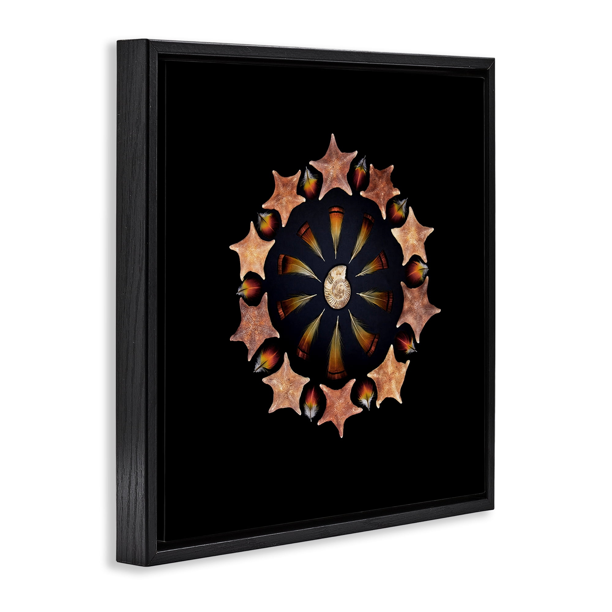 Stupell Industries Nautical Nature Arrangement Black Framed Floater Canvas Wall Art, design by Beth Adoette