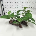 thumbnail image 1 of MYG Aquarium Artificial Plant with Fake Wood Ornament Decoration Fish Tank Decor, 1 of 8