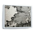 thumbnail image 2 of Designart "Monochrome Wonders Of The Coral Reef II" Coastal Coral Under Water Floater Framed Wall Art Living Room, 2 of 5