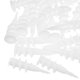 thumbnail image 3 of unbranded 100 De Tornillos Y Anclajes Para Pared Con Fijación Antideslizante Ideal Para Placas Y Estantes, 3 of 8