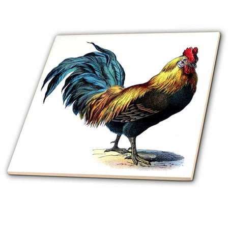 Glass Red Rooster - 3dRose Blue Yellow Red Victorian Rooster - Glass Tile, 4-inch