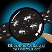 Combat Max Ant Killing Gel, Indoor and Outdoor Use, (1 Syringe)