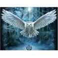thumbnail image 1 of Kits de pintura con dibujo de diamantes 5D de 30 x 40 cm (estilo 15), 1 of 5
