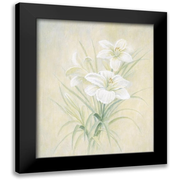 Unknown 12x14 Black Modern Framed Museum Art Print Titled - White Lily