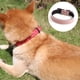 thumbnail image 3 of Collar de cuero para perros: el mejor collar de cuero de grano completo, 3 of 5