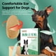 thumbnail image 4 of Pegatinas de pie para orejas de perro Sunnimix corrección de Oreja de pie, 4 of 8