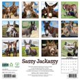 thumbnail image 2 of Sassy Jackassy 2026 12 X 12 Wall Calendar, (Hardcover), 2 of 5