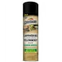 2 Pack Spectracide Carpenter Bee & Nesting Yellowjacket Killer Spray 16oz Each
