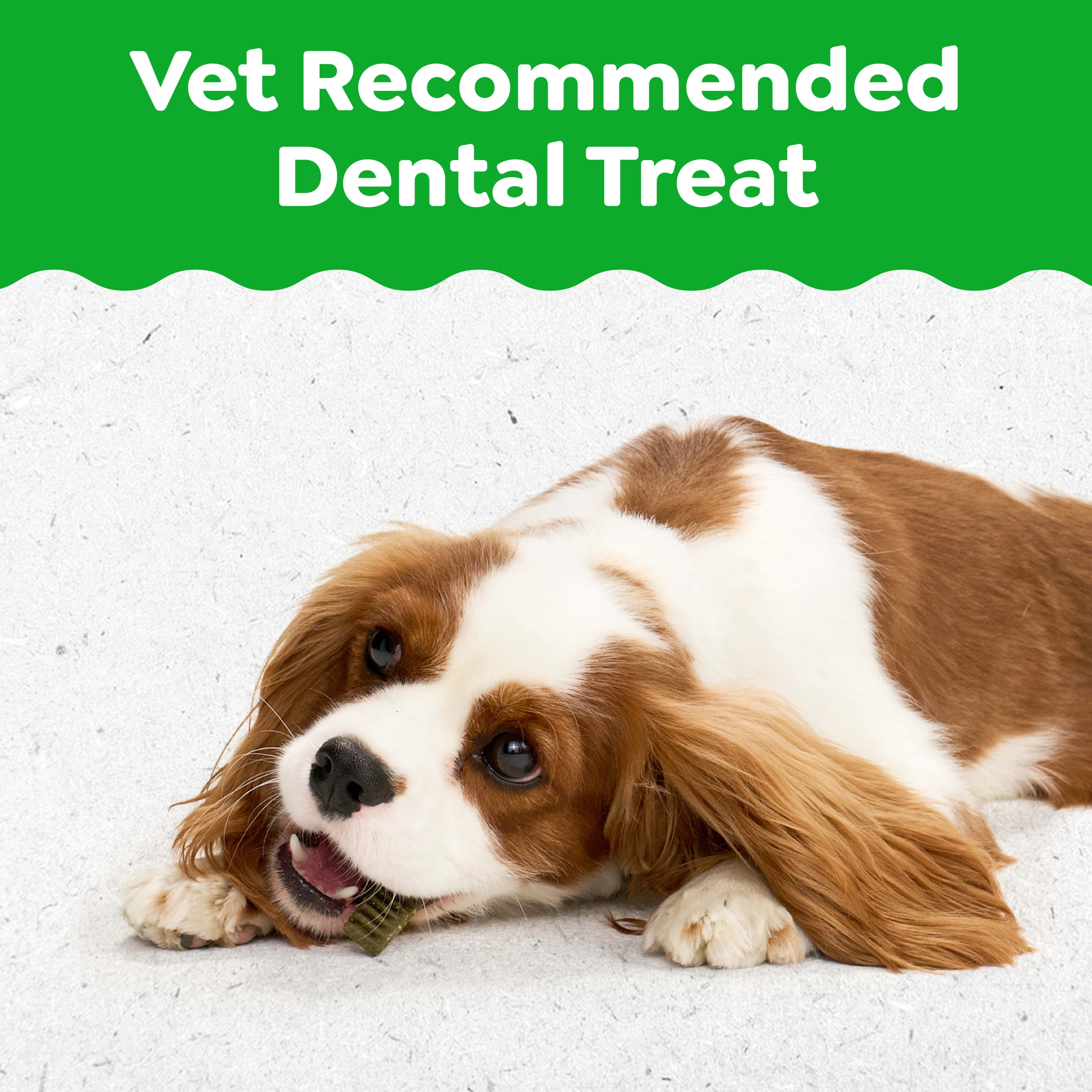 Greenies Natural Dental Puppy Treats Petite Size, Chicken Flavor, 12 oz Pack (20 Count)