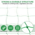 thumbnail image 3 of Uxcell Trellis Netting for Climbing Plants 6.6 x 9.8ft 27 Strands Heavy Duty Garden Trellis Netting Polyethylene Plant Support Net with 4" x 4" Mesh for Fruits Vegetables Cucumber, 3 of 6