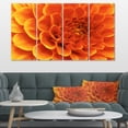 thumbnail image 1 of Large Orange Flower and Petals - Floral Canvas Art Print, 1 of 3