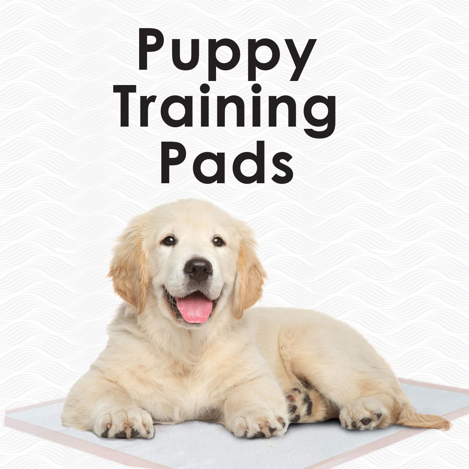 Wave LARGE Dog and Puppy Pee Pads Leak-Proof Quick-Dry Design for Potty Training, ULTRA Absorbency, Size 30" x 30", Case of 100