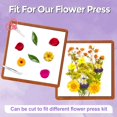 thumbnail image 3 of Placas secantes para prensar flores Suziko de 30 x 22 cm, paquete de 6, 3 of 6