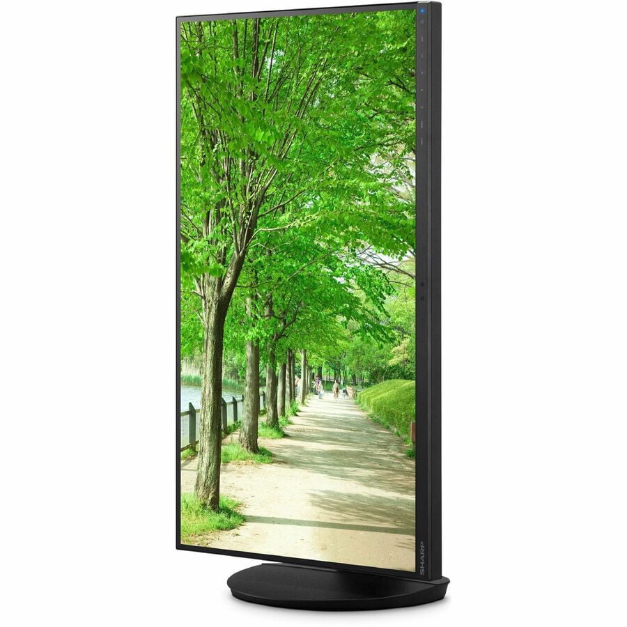 Sharp MultiSync DD-EA242W 24" Class WUXGA LED Monitor - 16:10 - Black - 24" Viewable - In-plane Switching (IPS) Technology - LED Backlight - 1920 x 1200 - 16.7 Million Colors - 300 Nit - 6 ms - 62 ...