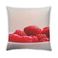 thumbnail image 2 of Ahgly Company Foods Raspberry Outdoor Throw Pillow, 18 inch by 18 inch, 2 of 6