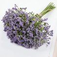 thumbnail image 5 of Cielo Lleno De Ramos De Novia Espuma Gypsophila Para Decoración Material Plástico Adorno Para Salón, 5 of 5