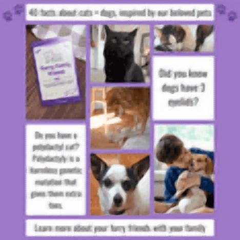 Fussie Cat Grain Free Adult Wet Cat Food Variety Pack – Tuna & Chicken Liver, Chicken & Duck, Tuna & Mussels – 6 Cans (2 Each) + MerlinsMart Zine