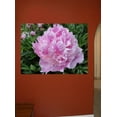 thumbnail image 2 of Sumerlin Lavender Peony Glossy Poster, 2 of 2