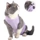 thumbnail image 4 of Traje de recuperación profesional para heridas abdominales y enfermedades de la piel, alternativa de collar electrónico para gatos y perros, uso antilamido después de la cirugía, recomendado por veter, 4 of 5