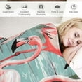 thumbnail image 3 of ARISTURING Flamingo Throw Blanket Vintage Style Soft Flannel Blankets Pink Cozy Throws Ideal for Women, Girls Use on Couch, Bedroom, Camping or While Traveling, 3 of 6