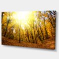 thumbnail image 2 of Forêt d'Automne Jaune au Soleil - Impression sur Toile, 2 of 3