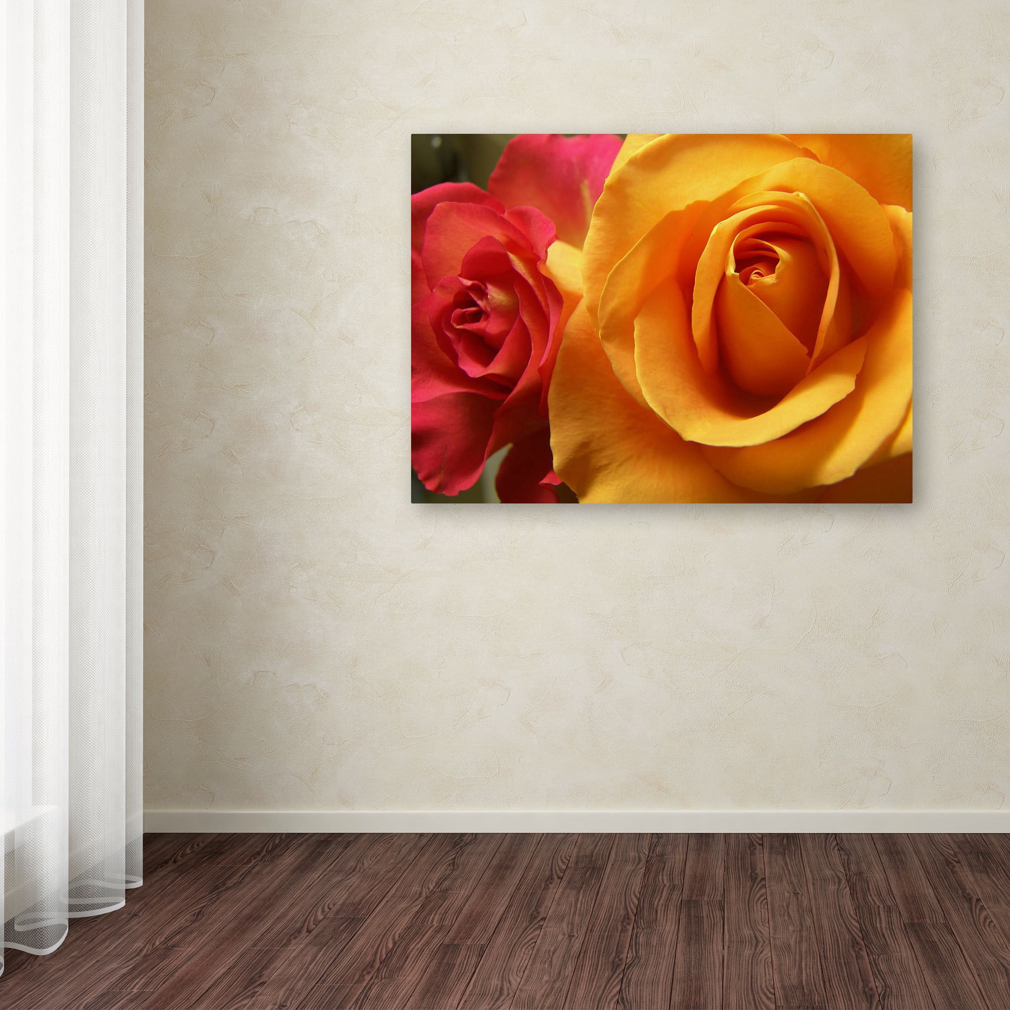 Trademark Fine Art "Ideal Balance" Canvas Art by Monica Fleet