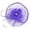 Purple_005, variant on Fgnfyis Fascinator for Women Bow Beret Hat with Veil Headpiece Hair Clip Fascinators Hats for Women Tea Party White_007 One Size