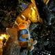 thumbnail image 1 of Decoraciones de Animales de Resina Luces Solares Jardín Conejito Ardilla Escalada Colgante de Pared Jardín Casa de Familia Paisajismo (Ardilla), 1 of 5