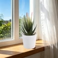 thumbnail image 3 of Artificial Potted Plants with White Plastic Pots for Home and Office Decor, Small Flower Arrangements for Indoor Spaces, 3 of 5